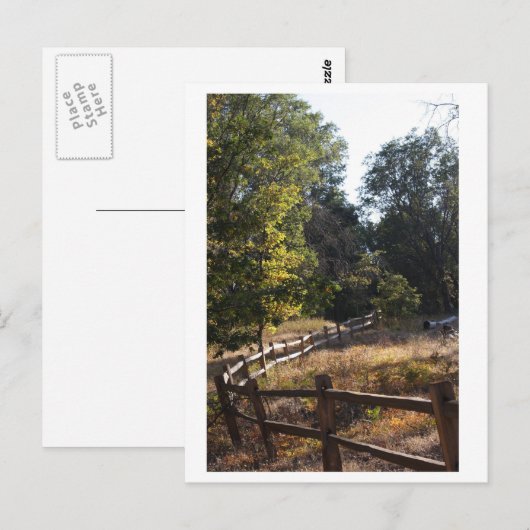 森林経路 ポストカード (正面/裏面)