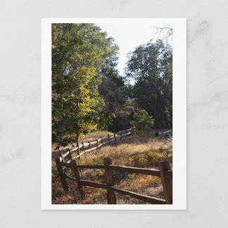 森林経路 ポストカード