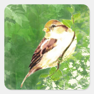森林芸術の水彩画のウタスズメの鳥 スクエアシール