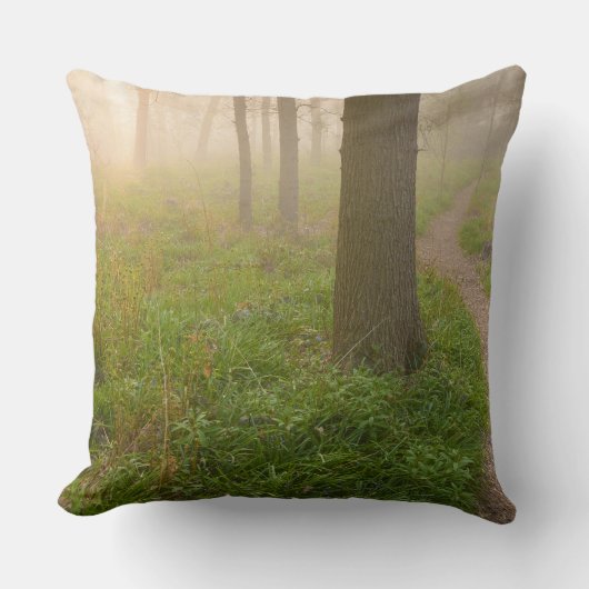 森林装飾用クッションに導く歩く道 クッション (正面)
