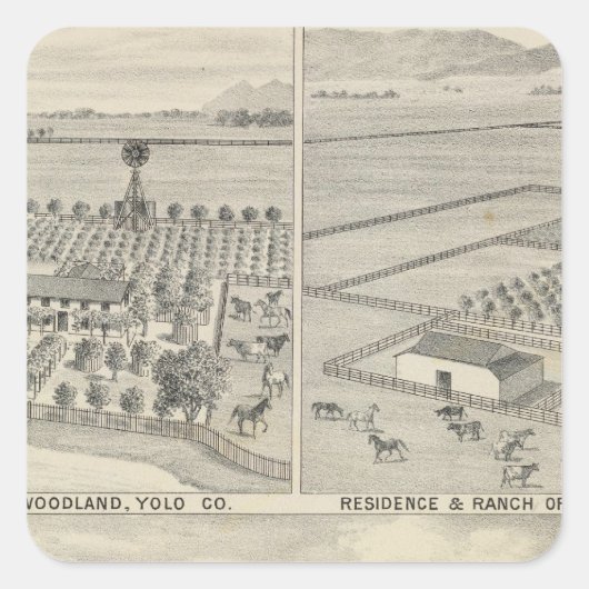 森林製材会社 スクエアシール (正面)