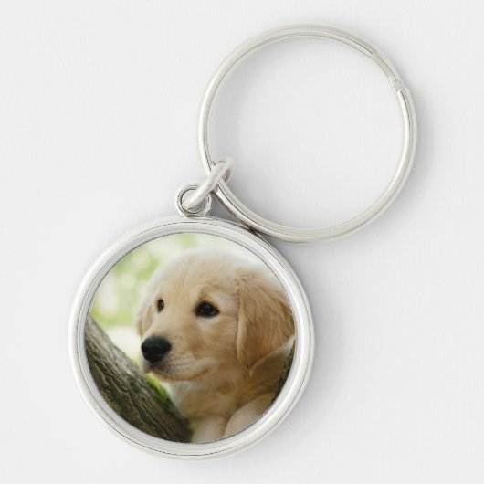 森林設定に坐っているラブラドールの子犬 キーホルダー (正面)