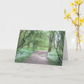 森林道の写真の挨拶状 カード (黄色い花)