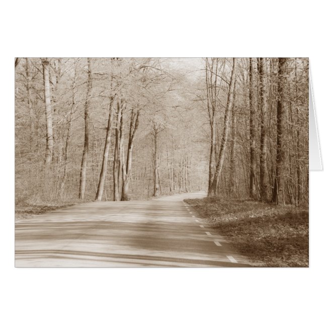 森林道路グリーティングカード (正面横)