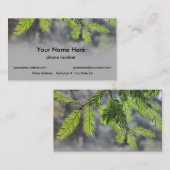 森林針 名刺 (正面/裏面)