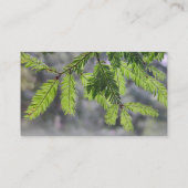 森林針 名刺 (裏面)