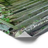 森林階段パスポスター ポスター (角)