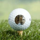 森林雪のシーンtmtp5 gbcnm ゴルフボール (インサイチュ 木)