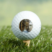 森林雪シーンtpv1 gbcna ゴルフボール (インサイチュ 木)