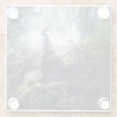 森林 |アナガルーラルパークカナリア諸島 ガラスコースター (裏面)