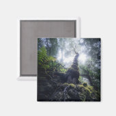 森林 |アナガルーラルパークカナリア諸島 マグネット (正面/裏面)