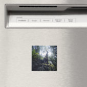 森林 |アナガルーラルパークカナリア諸島 マグネット (インサイチュ (食洗機))