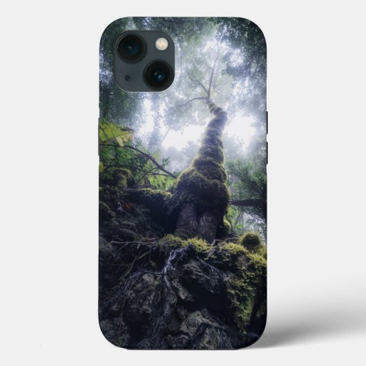 森林 |アナガルーラルパークカナリア諸島 Case-Mate iPhoneケース (裏面)