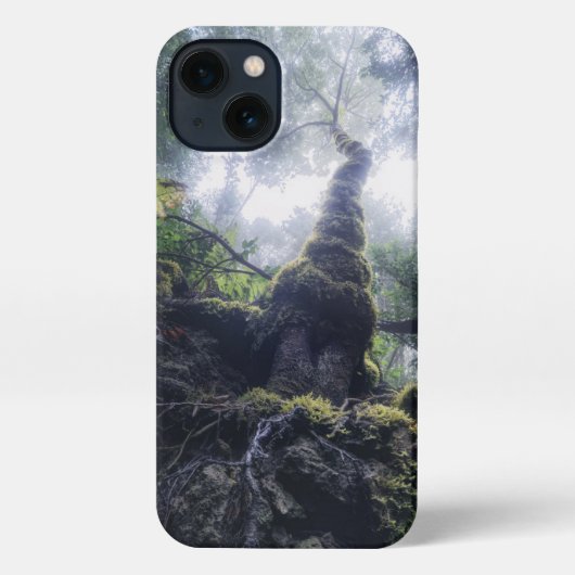 森林 |アナガルーラルパークカナリア諸島 iPhoneケース (裏面)