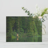 森林 |アルバータ州バンフ国立公園でエルク サンキューカード (スタンド正面)