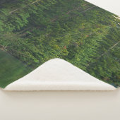 森林 |アルバータ州バンフ国立公園でエルク シェルパブランケット (3/4)