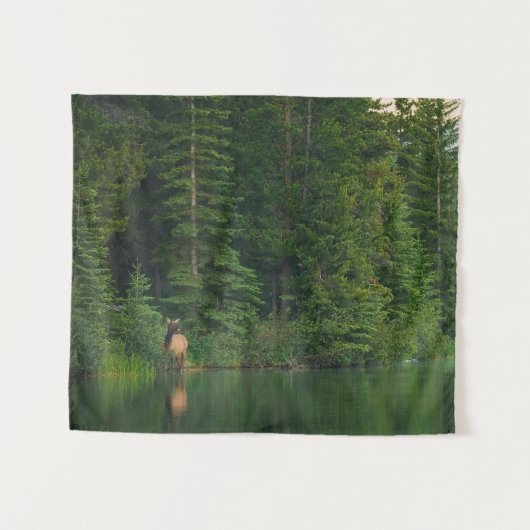 森林 |アルバータ州バンフ国立公園でエルク タペストリー (正面(横))