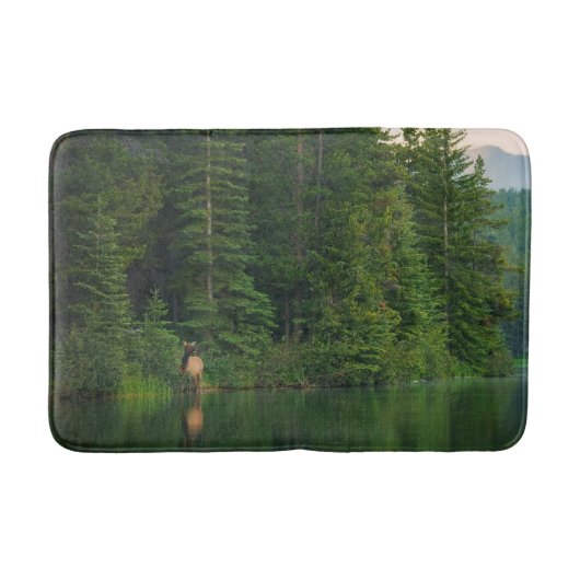 森林 |アルバータ州バンフ国立公園でエルク バスマット (正面)
