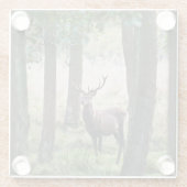森林 |ウッドランズ&レッドディアー ガラスコースター (裏面)