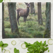 森林 |ウッドランズ&レッドディアー キッチンタオル (折り畳み)