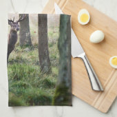 森林 |ウッドランズ&レッドディアー キッチンタオル (四つ折り)