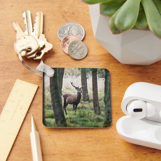 森林 |ウッドランズ&レッドディアー キーホルダー (デスク)