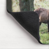 森林 |ウッドランズ&レッドディアー マウスパッド (コーナー)