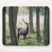 森林 |ウッドランズ&レッドディアー マウスパッド (正面)