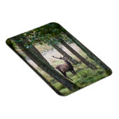 森林 |ウッドランズ&レッドディアー マグネット (右側)