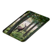 森林 |ウッドランズ&レッドディアー マグネット (左側)