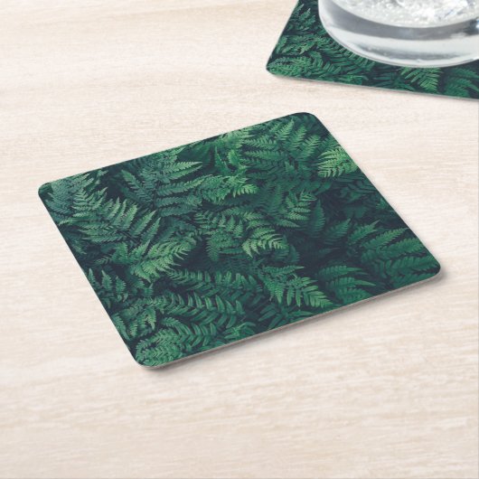 森林 |ウッドランドシダ スクエアペーパーコースター (アングル)