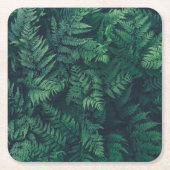 森林 |ウッドランドシダ スクエアペーパーコースター (正面)