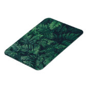 森林 |ウッドランドシダ マグネット (左側)