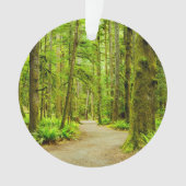 森林 |オリンピック国立公園 オーナメント (正面)