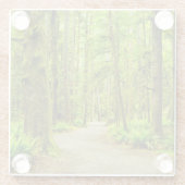 森林 |オリンピック国立公園 ガラスコースター (裏面)