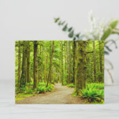 森林 |オリンピック国立公園 サンキューカード (スタンド正面)