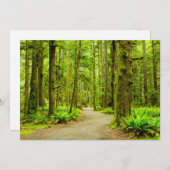 森林 |オリンピック国立公園 サンキューカード (正面/裏面)