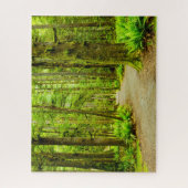 森林 |オリンピック国立公園 ジグソーパズル (縦)