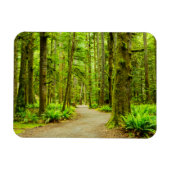 森林 |オリンピック国立公園 マグネット (横)