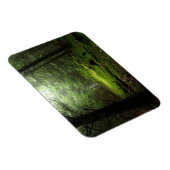 森林 |オーベルニュ・フランス マグネット (右側)