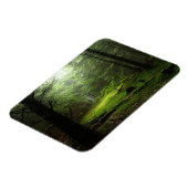 森林 |オーベルニュ・フランス マグネット (左側)