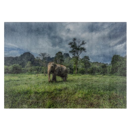 森林 カオソク国立公園 カッティングボード (正面)