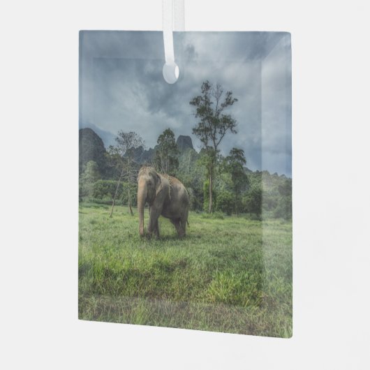 森林 カオソク国立公園 ガラスオーナメント (正面左)