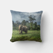 森林 カオソク国立公園 クッション (正面)