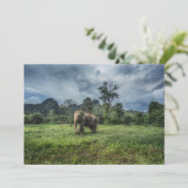 森林 カオソク国立公園 サンキューカード (スタンド正面)