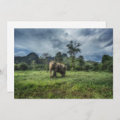 森林 カオソク国立公園 サンキューカード (正面/裏面)