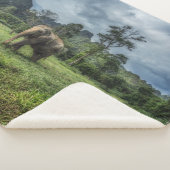 森林 カオソク国立公園 シェルパブランケット (3/4)