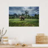 森林 カオソク国立公園 ポスター (キッチン)