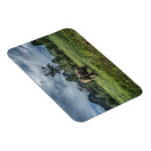 森林 カオソク国立公園 マグネット (右側)