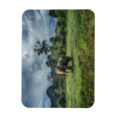 森林 カオソク国立公園 マグネット (縦)